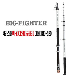 빅 파이터[다금바리]대물대 80-520