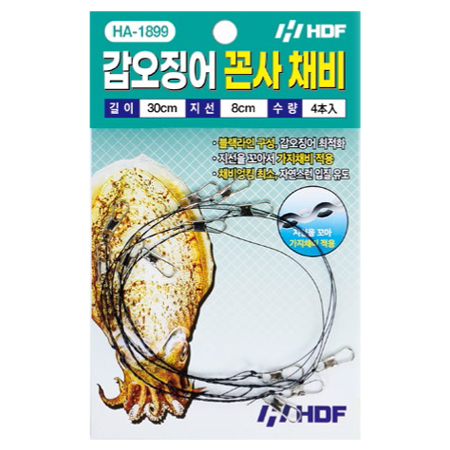 갑오징어 꼰사 채비